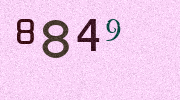Visual Confirmation Security Code