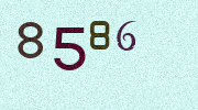 Visual Confirmation Security Code