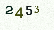 Visual Confirmation Security Code