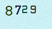 Visual Confirmation Security Code