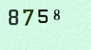 Visual Confirmation Security Code