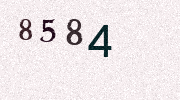 Visual Confirmation Security Code