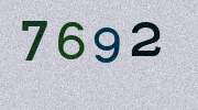 Visual Confirmation Security Code