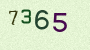 Visual Confirmation Security Code