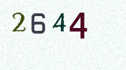 Visual Confirmation Security Code