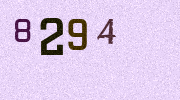 Visual Confirmation Security Code