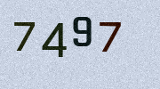 Visual Confirmation Security Code