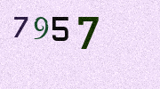Visual Confirmation Security Code