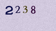 Visual Confirmation Security Code