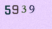 Visual Confirmation Security Code