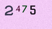 Visual Confirmation Security Code