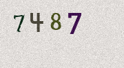 Visual Confirmation Security Code