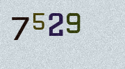 Visual Confirmation Security Code