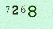 Visual Confirmation Security Code