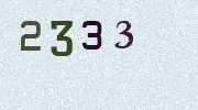 Visual Confirmation Security Code