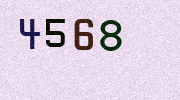 Visual Confirmation Security Code