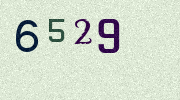 Visual Confirmation Security Code
