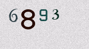Visual Confirmation Security Code