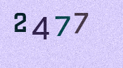 Visual Confirmation Security Code
