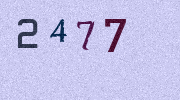 Visual Confirmation Security Code