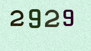 Visual Confirmation Security Code