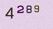 Visual Confirmation Security Code