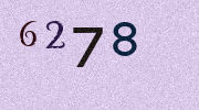 Visual Confirmation Security Code