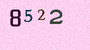 Visual Confirmation Security Code
