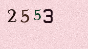 Visual Confirmation Security Code