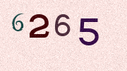 Visual Confirmation Security Code