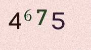 Visual Confirmation Security Code
