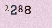 Visual Confirmation Security Code