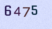 Visual Confirmation Security Code