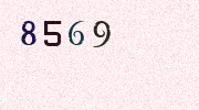 Visual Confirmation Security Code