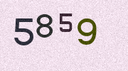Visual Confirmation Security Code