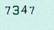 Visual Confirmation Security Code
