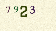 Visual Confirmation Security Code
