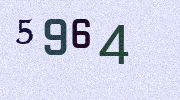 Visual Confirmation Security Code