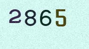 Visual Confirmation Security Code