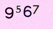 Visual Confirmation Security Code