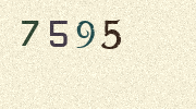 Visual Confirmation Security Code