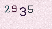 Visual Confirmation Security Code