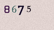 Visual Confirmation Security Code