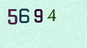 Visual Confirmation Security Code