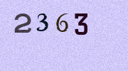 Visual Confirmation Security Code