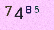 Visual Confirmation Security Code