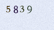 Visual Confirmation Security Code
