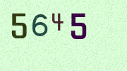 Visual Confirmation Security Code