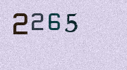 Visual Confirmation Security Code