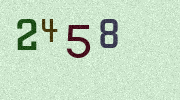 Visual Confirmation Security Code